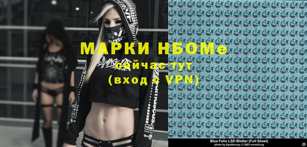 крисы Бронницы