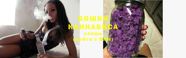 крисы Бронницы