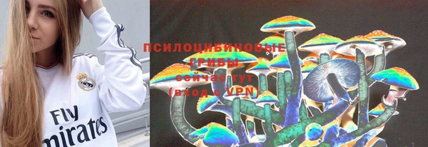крисы Бронницы